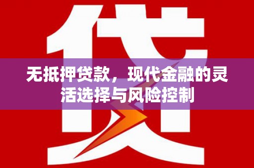 河池无抵押贷款，现代金融的灵活选择与风险控制