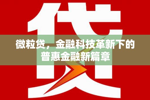 罗东微粒贷，金融科技革新下的普惠金融新篇章
