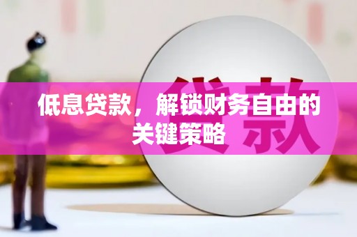 墨玉低息贷款，解锁财务自由的关键策略