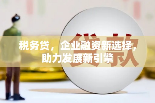 丰润税务贷，企业融资新选择，助力发展新引擎