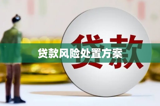 利辛贷款风险处置方案
