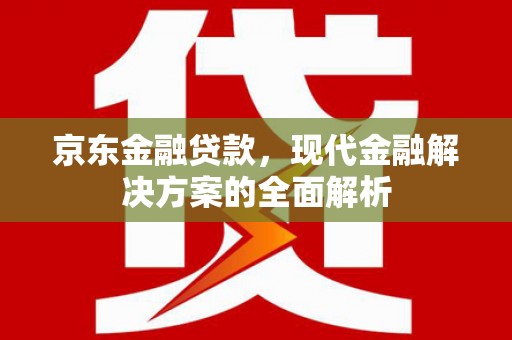海端京东金融贷款，现代金融解决方案的全面解析
