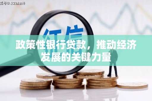 南竿政策性银行贷款，推动经济发展的关键力量