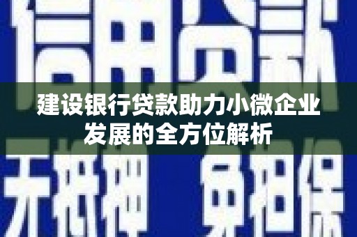 白河建设银行贷款助力小微企业发展的全方位解析