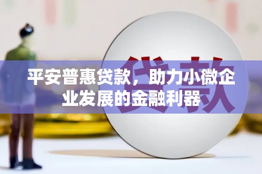 新埔平安普惠贷款，助力小微企业发展的金融利器