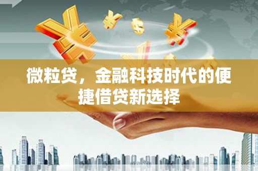 元宝微粒贷，金融科技时代的便捷借贷新选择