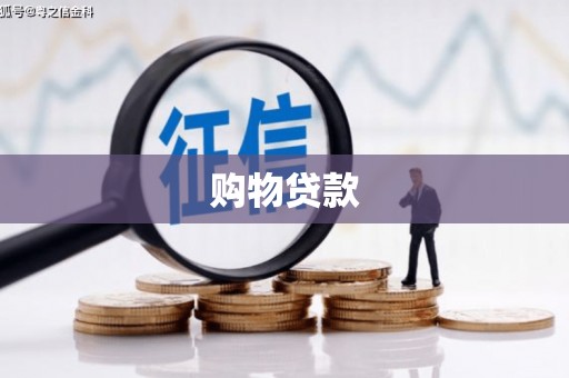 善化购物贷款