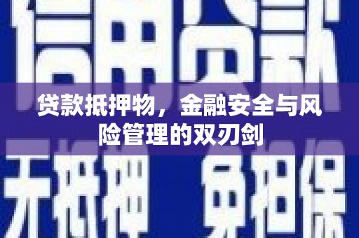 蒲江贷款抵押物，金融安全与风险管理的双刃剑