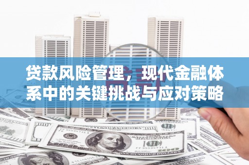 松原贷款风险管理，现代金融体系中的关键挑战与应对策略