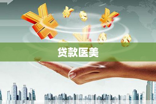 武功贷款医美