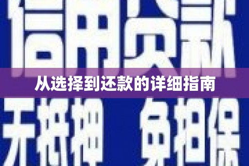 通山从选择到还款的详细指南