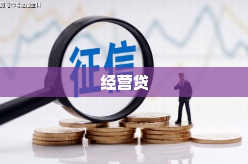 天心经营贷