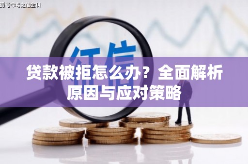 水里贷款被拒怎么办？全面解析原因与应对策略