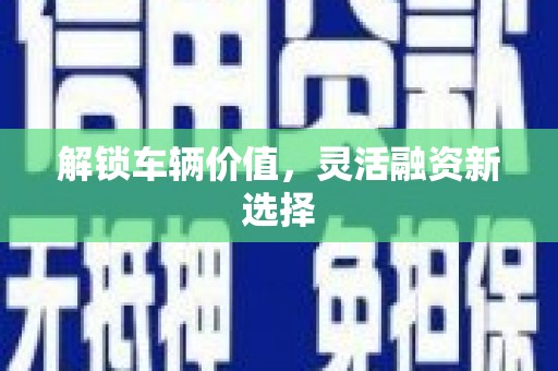 芦淞解锁车辆价值，灵活融资新选择
