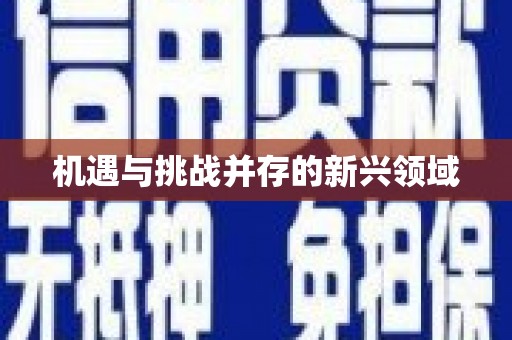 颍州机遇与挑战并存的新兴领域