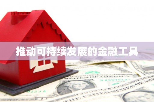 云和推动可持续发展的金融工具