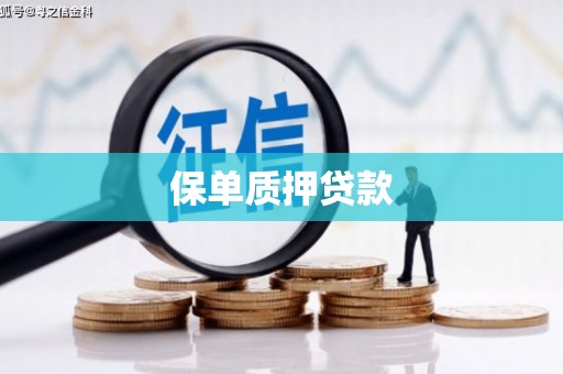 巩义保单质押贷款