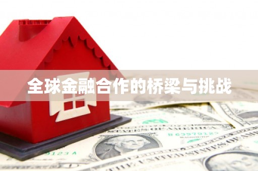 望城全球金融合作的桥梁与挑战