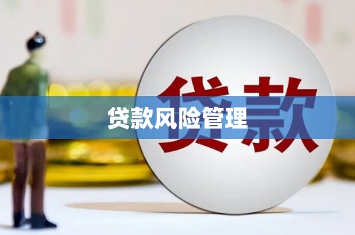 涧西贷款风险管理